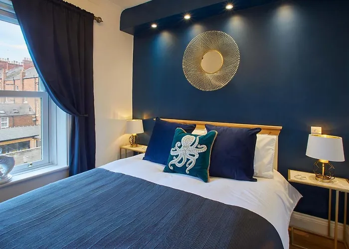 Host & - Little Acorn